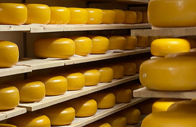 Fra Ostegården og flere